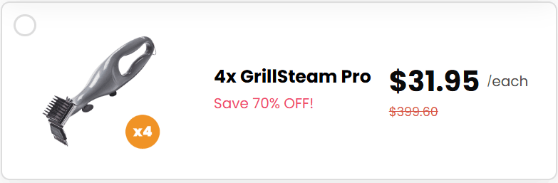 GrillSteam Pro 11
